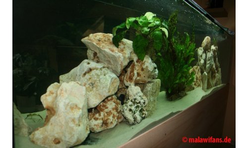 Aquarien